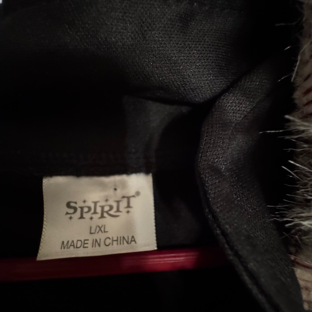 Noble King Halloween costume L/XL.  Spirit Halloween. - Picture 5 of 7